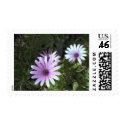 Flower Postage Stamp
