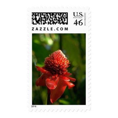Flower Postage Stamps by mickeyelvis128