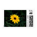 Flower Postage Stamps