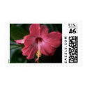 Flower Postage Stamps
