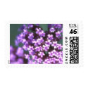 Flower Postage Stamps