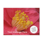 Flower Postcards