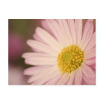 Flower postcard