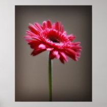 Flower Print