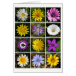 Flower Poster Greeting Card