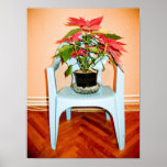 Flower pot poster