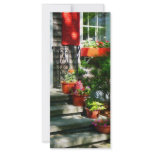 Flower Pots and Red Shutters rack cards