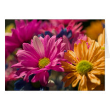 Flower Power Cards