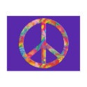 Flower Power Peace | violet postcards