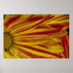 Flower Power Print