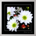 Flower Power posters