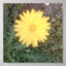 flower power poster