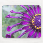Flower Power Spider Purple Mousepad mousepads
