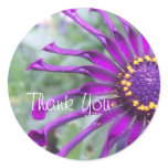 Flower Power Spider Purple Thank You Stickers stickers