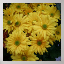 Flower Power Yellow! Poster