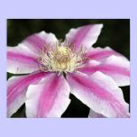 Flower Print posters