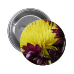 flower,purple and yellow buttons