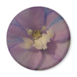 flower,purple delphinium magnets
