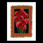 'Flower Sack' posters