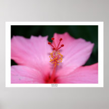 Flower Seven Poster