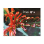Flower Shower Postcard