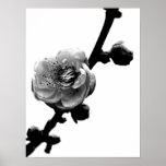 Flower Silhouette posters