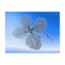 Flower Skeleton ~ postcard