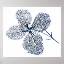 Flower Skeleton ~ print