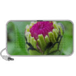flower portable speaker