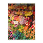 Flower Stand postcards