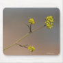 Flower Stem Mousepad