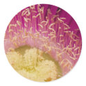 Flower Sticker