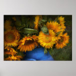 Flower - Sunflower - The suns have risen posters