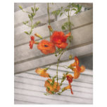 Flower - Trumpet melodies flyers