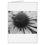 Flower with Bee Card