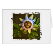 Flower with Black Background cards