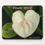 Flower World