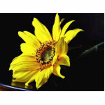 Flower Yellow Macro Photo photo sculptures