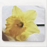 flower, yellow mouse pad