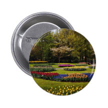 Flowerbeds at Keukenhof, Netherlands  flowers Pinback Button