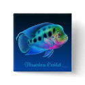 Flowerhorn Cichlid Fish Pin buttons