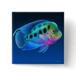 Flowerhorn Cichlid Pin buttons