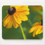 Flowering Black Eyed Susans Mouse Pad