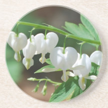 Flowering Bleeding Heart Coaster