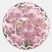 Flowering Cherry Tree Sticker