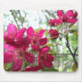 Flowering Crab Apple Tree Mousepad