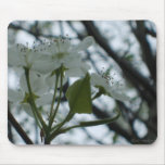 Flowering Dogwood Mousepad