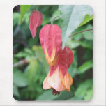 Flowering Maple mousepads