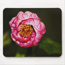 Flowering Maple Mousepad
