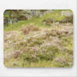 Flowering Plants Mouse Pads